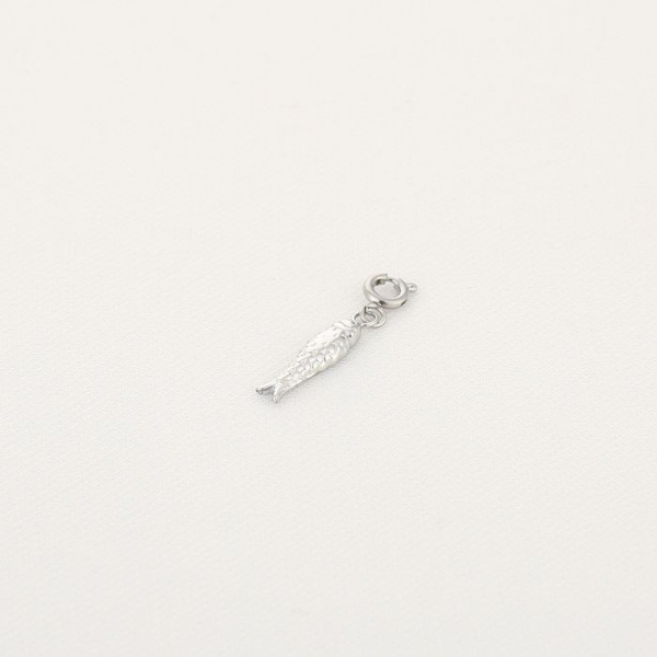 Bedel Vis Zilver