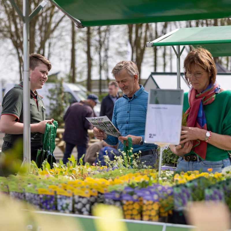 6-april-2024-staphorst-tuiniert-jhf-ii-website-25-standard.jpg