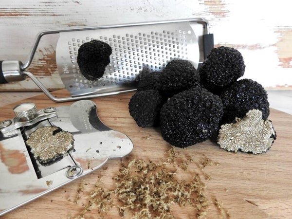 Burgunder- oder Herbsttrüffel,                  Knolle/n für 1 Person entspricht ca. 20g