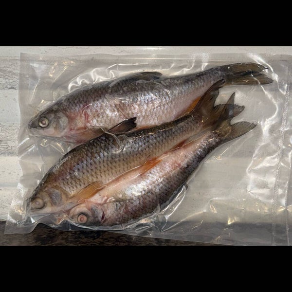 Deadbait’s