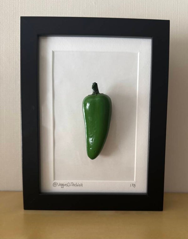Jalapeño peper 178