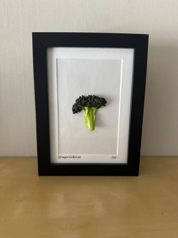 Broccoli stronkje 260