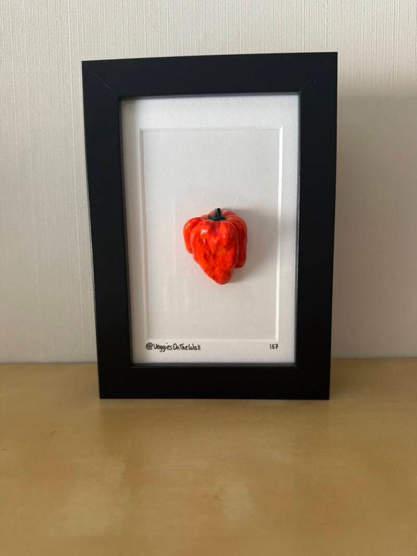 Habanero peper 157