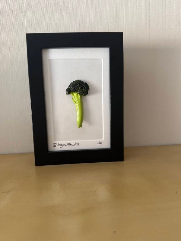 Broccoli stronkje 269