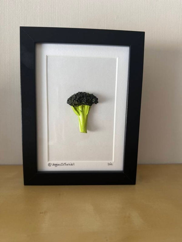 Broccoli stronkje 262