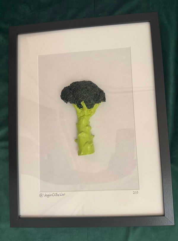 Broccoli 255