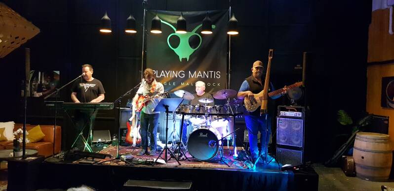 Rick Toner's band Playing Mantis performing live in Hastings.jpg