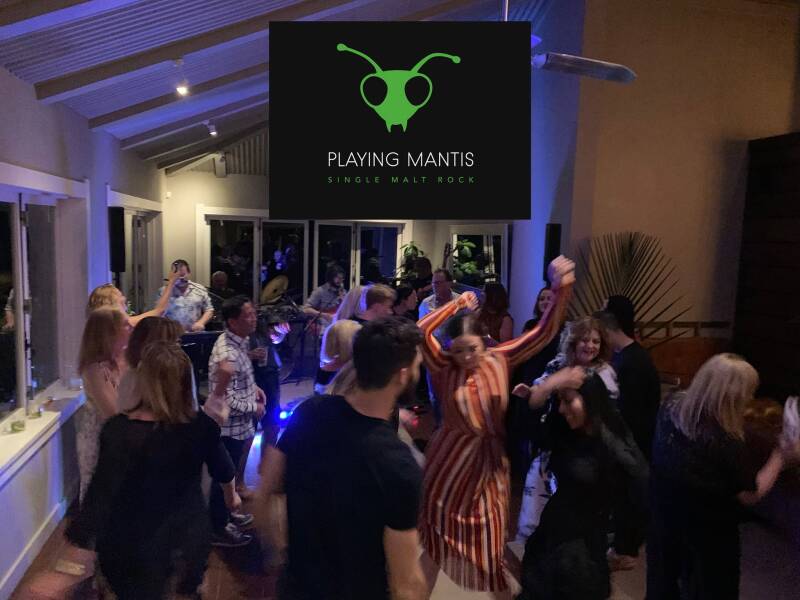 rick-toner-band-playing-mantis-wedding-party-band-napier-hawkes-bay-standard.jpg