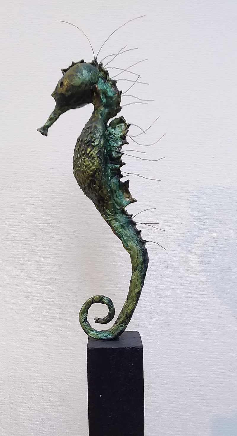 Zeepaardje