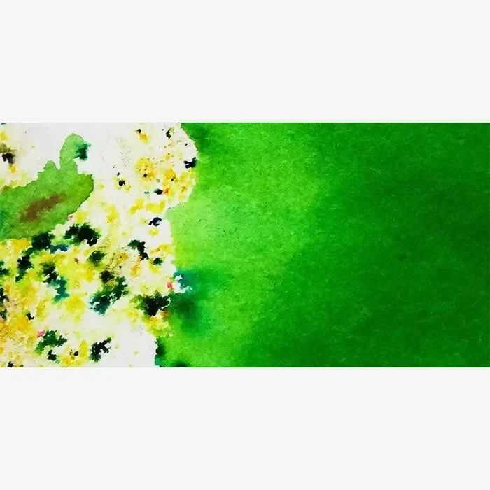 no 20 Brusho Leaf Groen