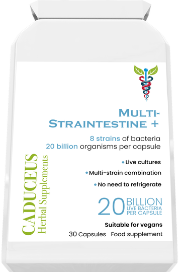 Multi-Straintestine 30 capsules