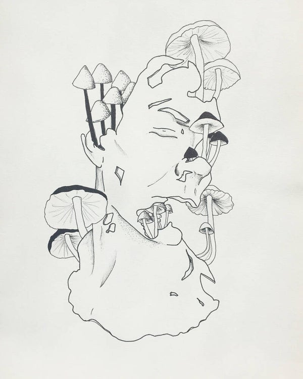 Pen drawing - mushrooms