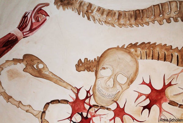 Mixed media anatomy - Print