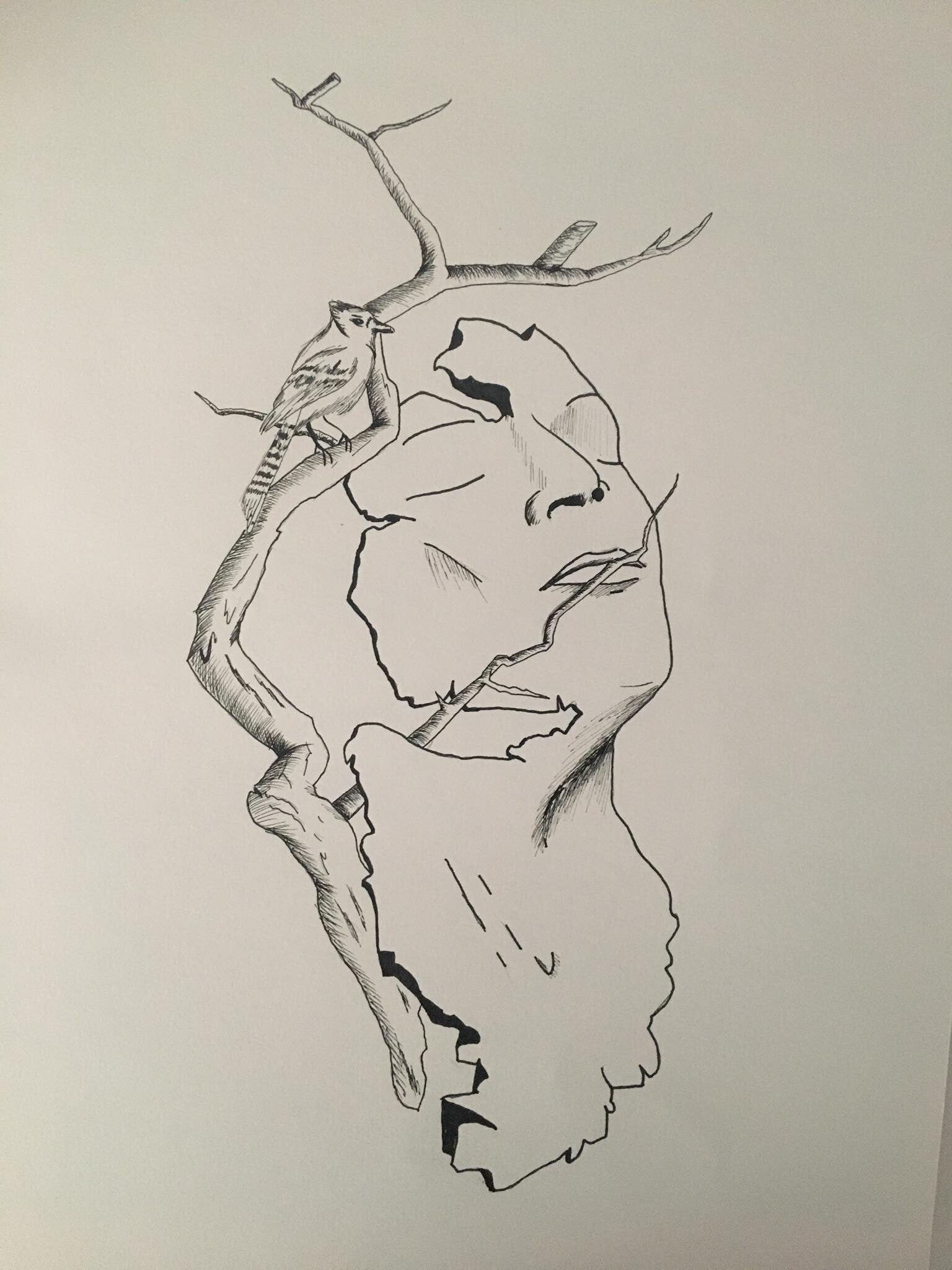 Pen drawing - branch