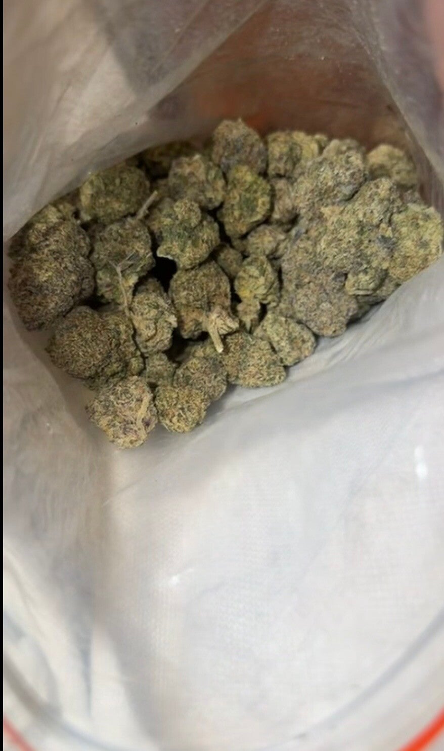 CrazyHaze (Beuh) 🪴