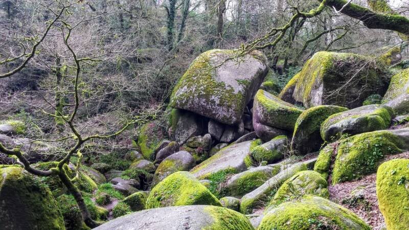 Le chaos dans la forêt du Huelgoat, avec la pierre appelée l'oreiller de la vierge