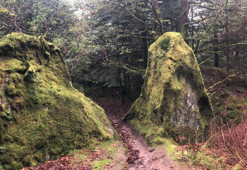 deux roches dans la forêt du Huelgoat formant un portail 