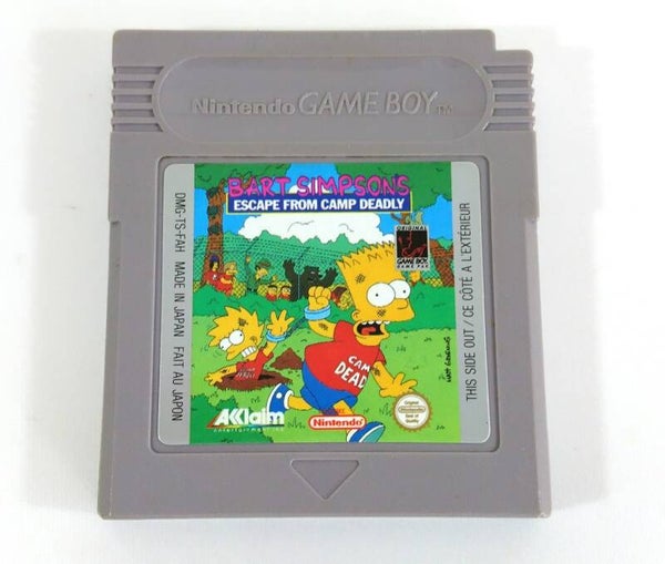 Bart Simpsons Escape From Camp Deadly