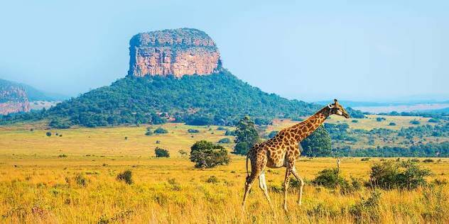 AFRICA