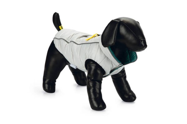 Beeztees Hondenjas Maly lichtgrijs / groen