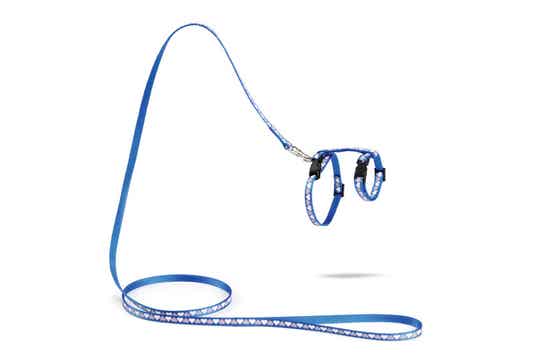 Beeztees Nylon Kittentuigje Hearts blauw