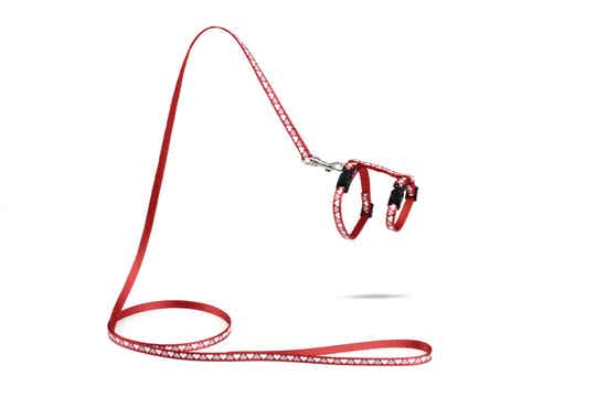 Beeztees Nylon Kittentuigje Hearts rood