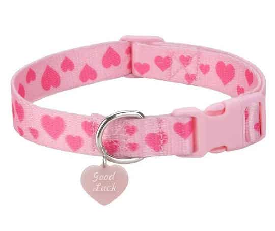 Hondenhalsband Plenty of Hearts 26-42 cm
