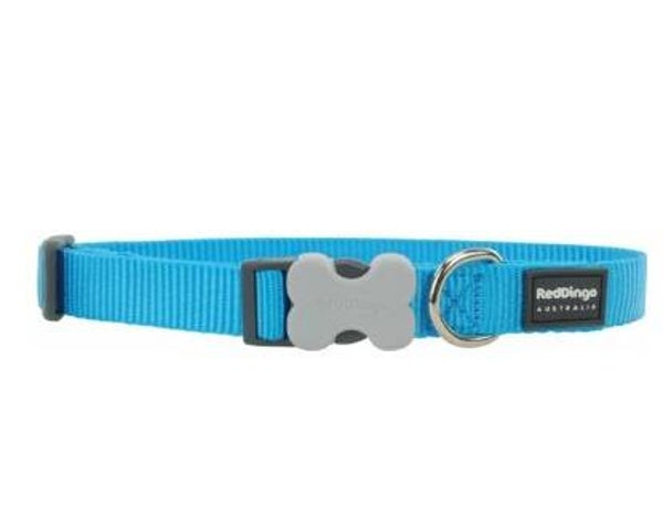 Red Dingo Hondenhalsband Turquoise 41-64 cm