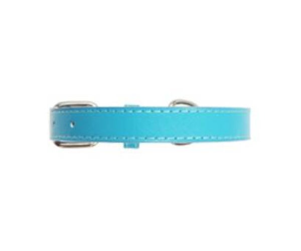 UrbanPup Hondenhalsband Turquoise 35-46 cm