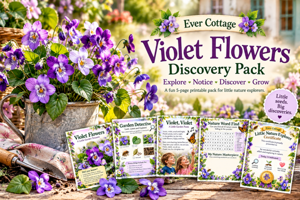 The Violet Flowers Discovery Pack