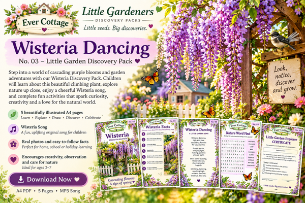 The Wisteria Discovery Pack