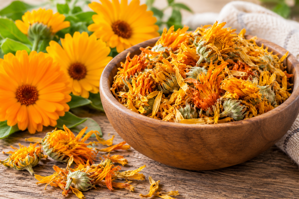 Heirloom Calendula No. 02