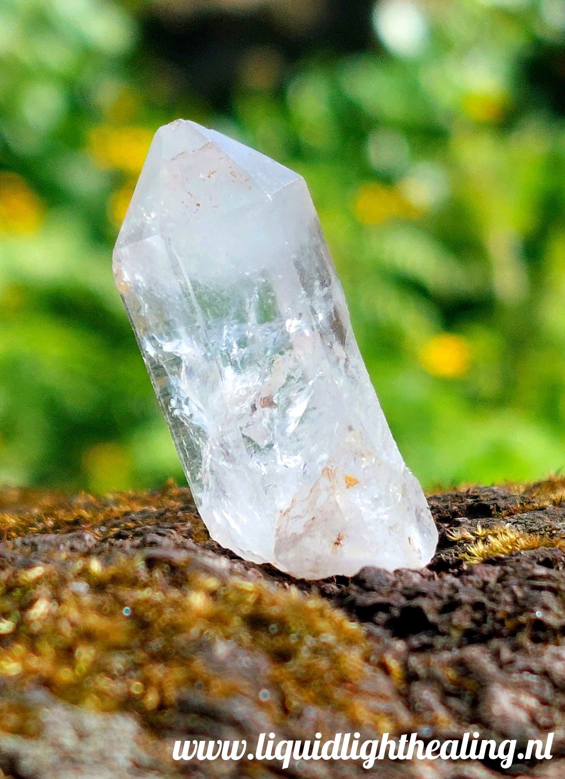 Enhydro Brandberg Crystal wih touch of Amethist