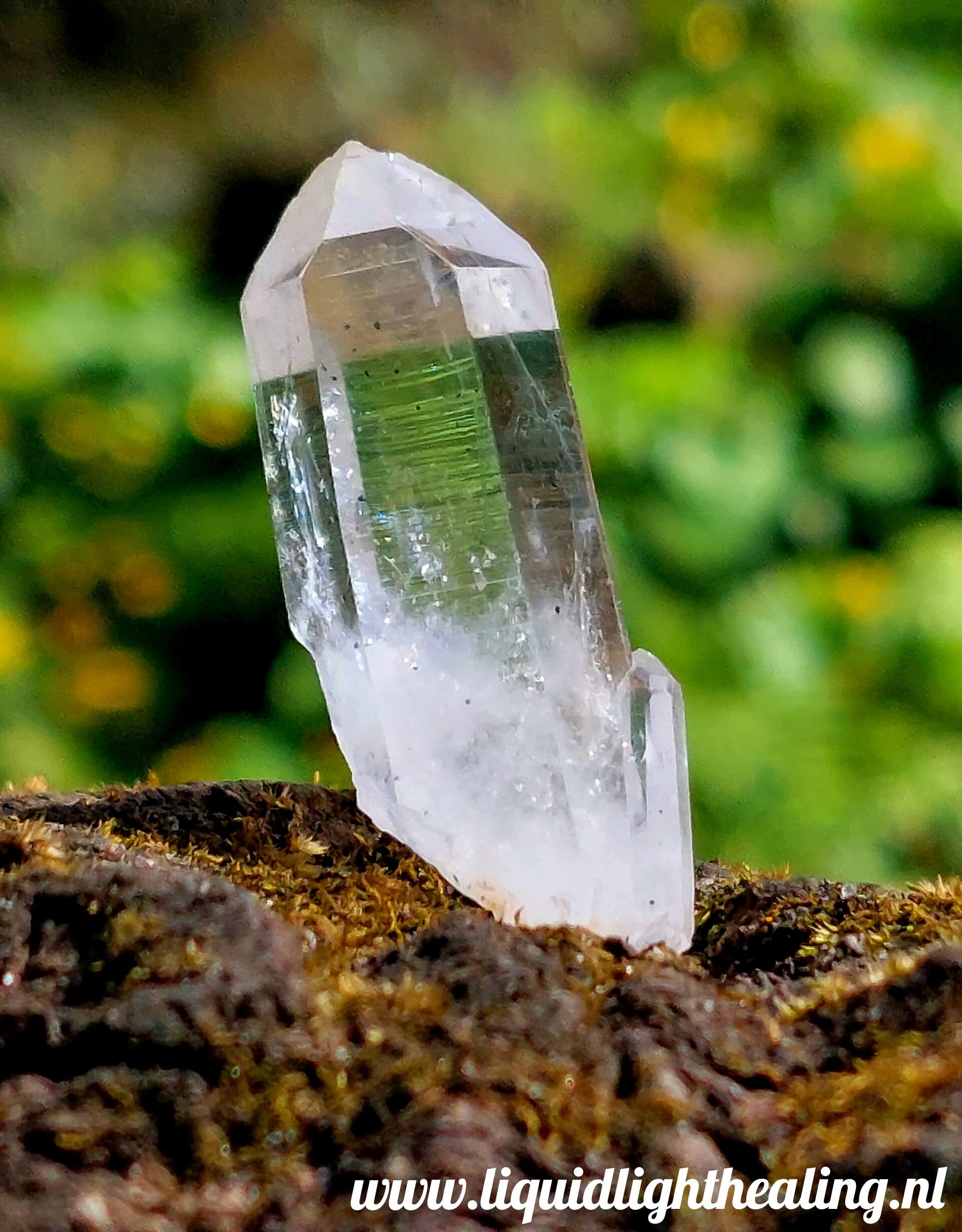 Enhydro Brandberg Crystal Mother & Child Chrystal