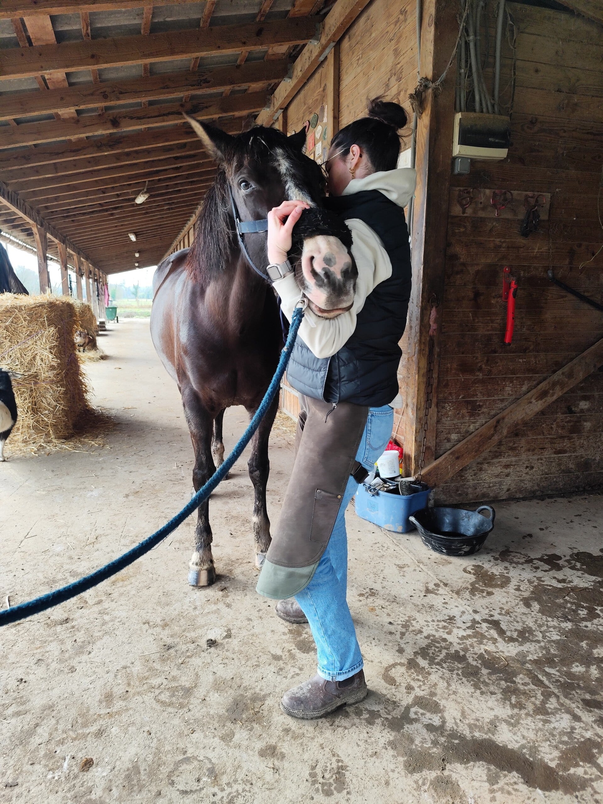 ostépathe animalier Gironde