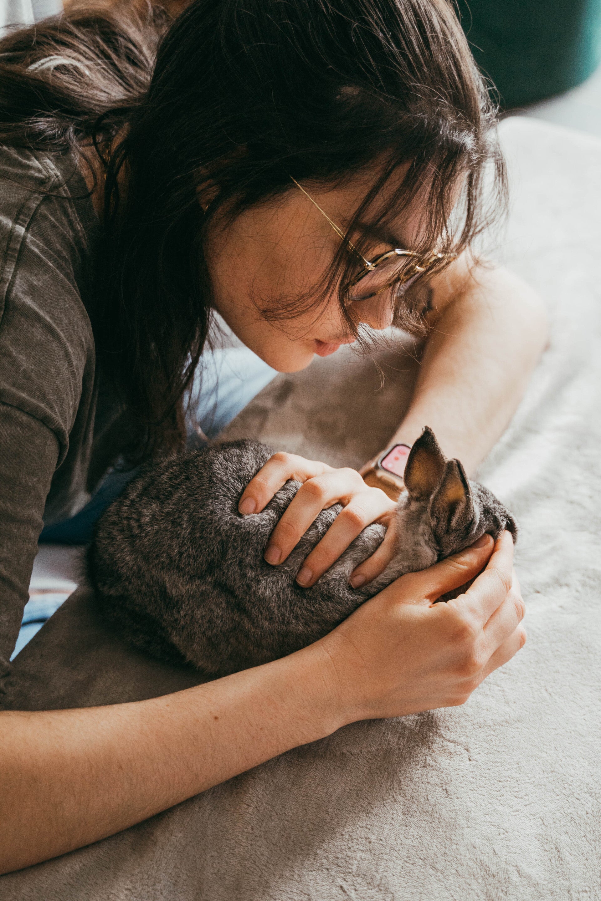 ostéopathe pour lapin bordeaux