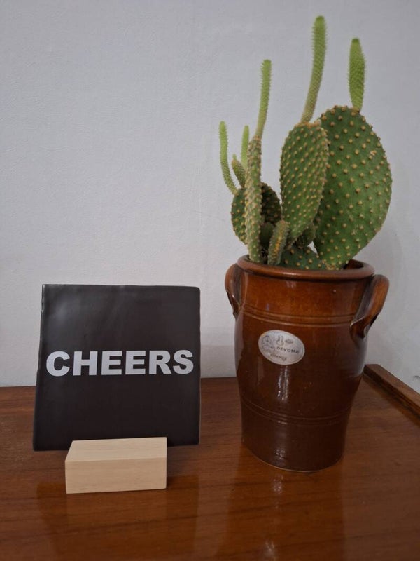 CHEERS