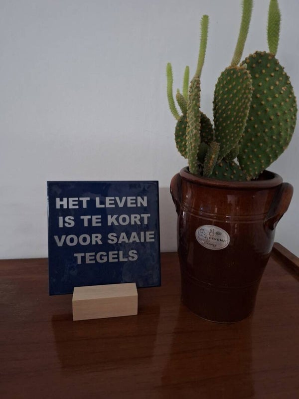 HET LEVEN IS TE KORT VOOR SAAIE TEGELS
