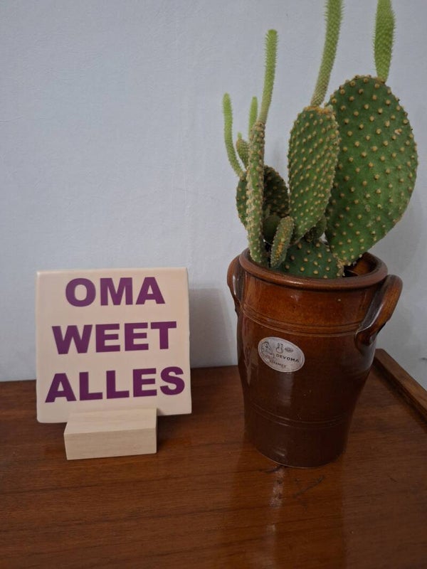 OMA WEET ALLES