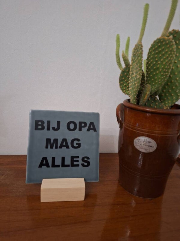 BIJ OPA MAG ALLES
