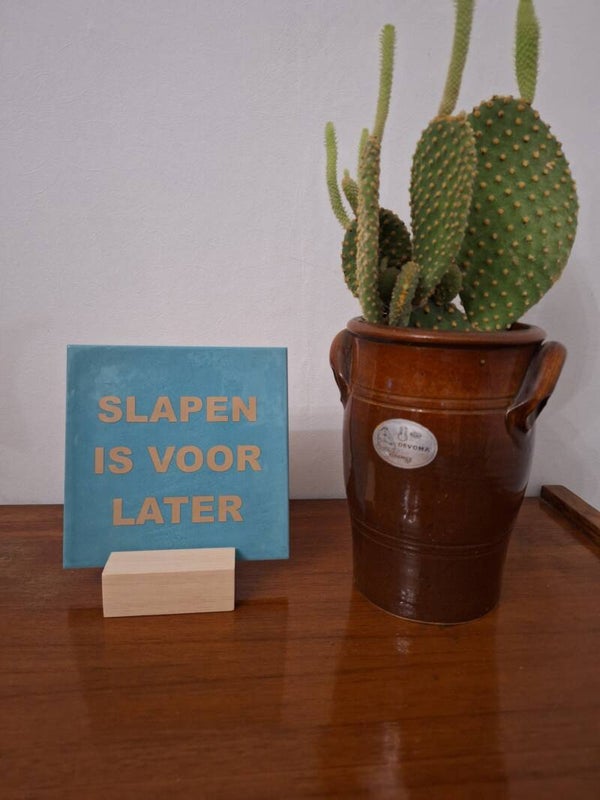 SLAPEN IS VOOR LATER