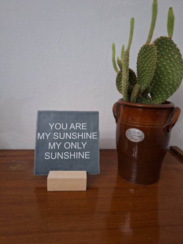 YOU ARE MY SUNSHINE