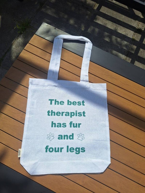 THE BEST THERAPIST HAS FUR