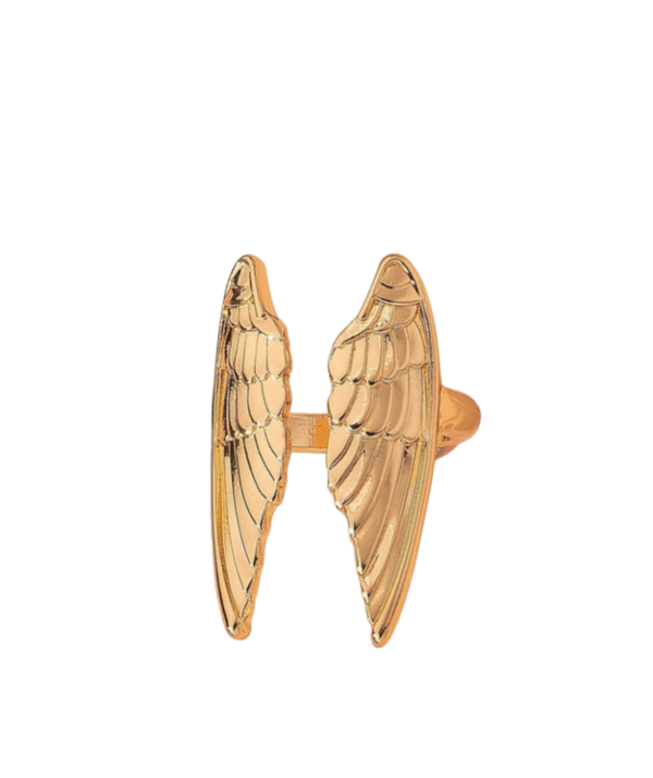 Ring Biggest zadig