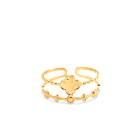Ring Pien