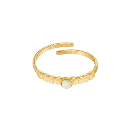 Ring Merel