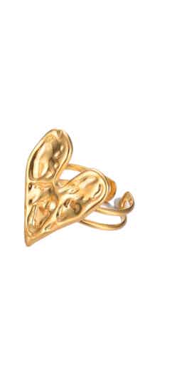 Ring Ier