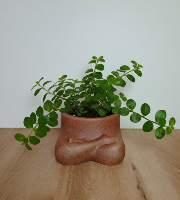 DOIY Blumentopf Namaste