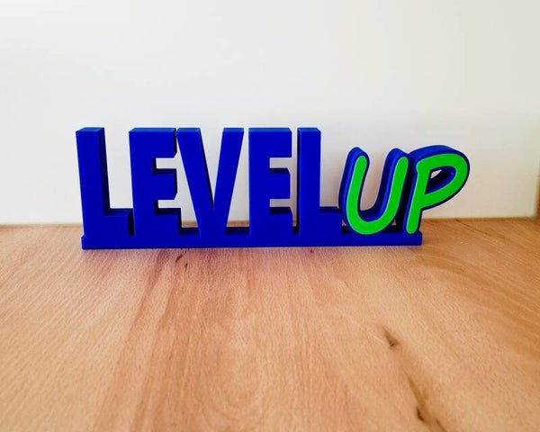 LEVEL UP