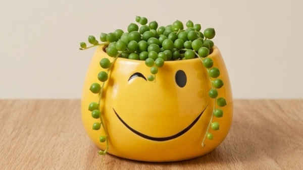 Blumentopf Smiley "Zwinkern"